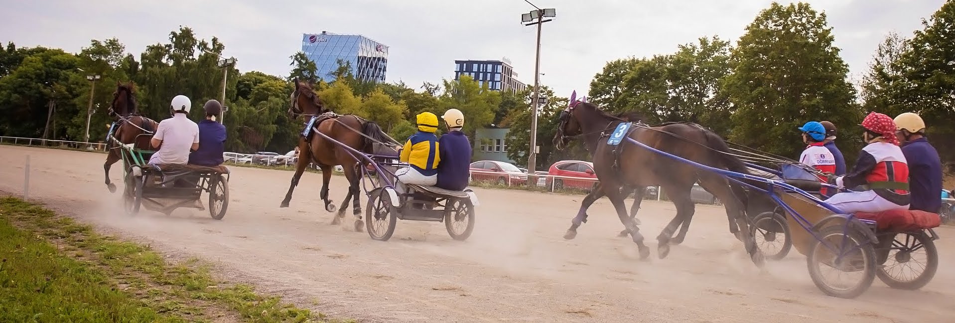 DSV_suvepäevad_527_of_299_-_Eesti_Festivalid_Ivo_Kraus.jpg